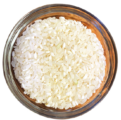 アメリカの米　中粒種