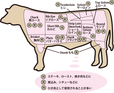 牛肉各部位の説明