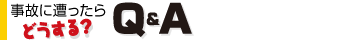 ���̂ɑ�������ǂ�����Q��A