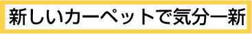 �V�����J�[�y�b�g�ŋC����V