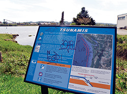 アバディーンの“Tsunami”の解説サイン