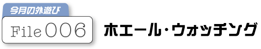 �z�G�[���E�E�H�b�`���O
