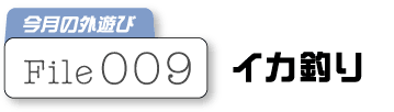 �C�J�ނ�