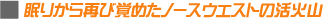 �m�[�X�E�J�X�P�[�h�����������ӂ�����