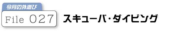 �X�L���[�o�E�_�C�r���O