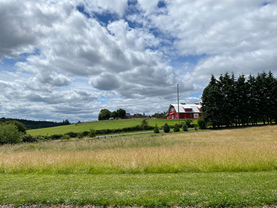 Luscher Farmズ 