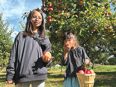 Kiyokawa Family Orchards