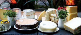 チーズ8種類