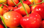 \"�V�A�g���̃R�R���`�F�b�N\"