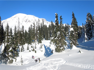 Jackson Visitor Center in Paradise