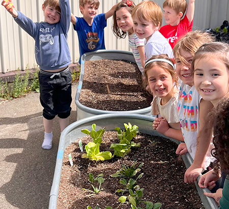 マクドナルド小学校