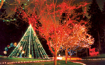 Spanaway Holiday Lights
