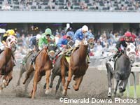 エメラルド・ダウンズ競馬場