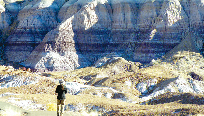 公園のほぼ中央に広がるブルーメサ（Blue Mesa＝青い丘）