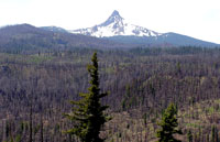 ジェファーソン山山火事