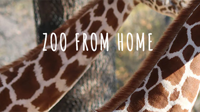 Omaha’s Henry Doorly Zoo and Aquarium