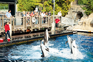 Vancouver Aquarium