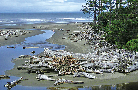 Kalaloch Beach