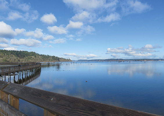 Billy Frank jr. Nisqually National Wildlife Refuge 