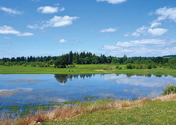 Tualatin River National Wildlife Refuge