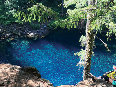 Powell Butte Nature Park