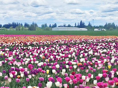 French Prairie Gardens