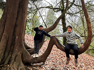 Hoyt Arboretum