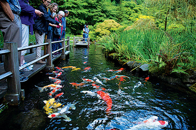 ポートランド日本庭園