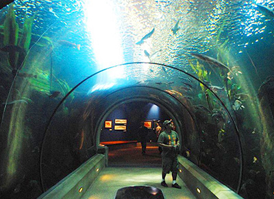 オレゴン・コースト水族館