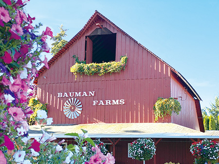 Bauman Farm