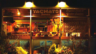 Yachats Brewing