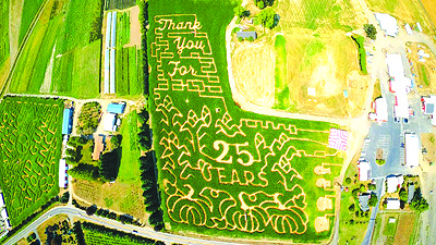イベント画像　The Corn Maize at the Pumpkin Patch2023