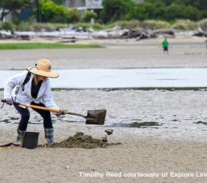Clamming 2026年5月のイベント画像