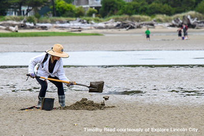 Clamming 2026年5月のイベント画像