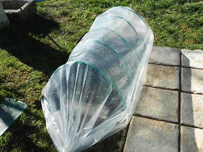 ビニールハウス