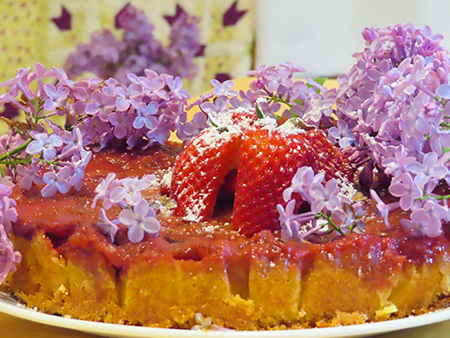 ルバーブ　ケーキ