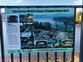 Oaks Bottom Habitat Enhancement Project