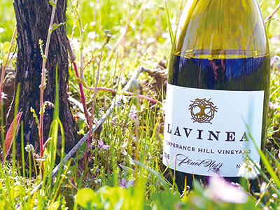 Lavinea Wines
