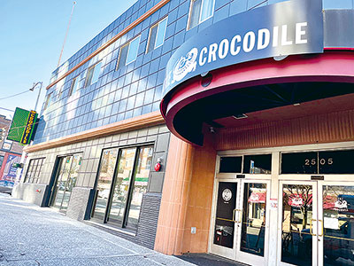 The Crocodile