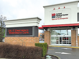 Animal Medical Center of Seattle