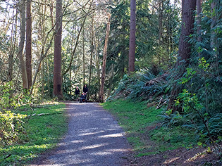 Terrace Creek Park Trail