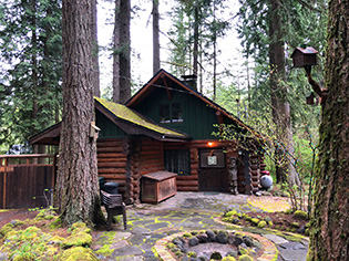 Steiner Log Cabins