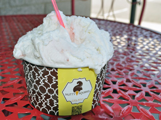 Nutty Squirrel Gelato