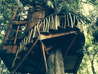 Treehouse Point