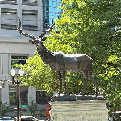 The Elk