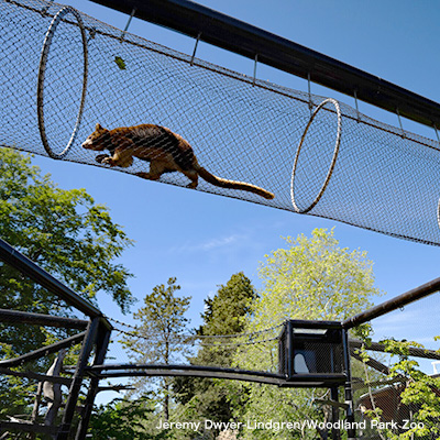 Woodland Park Zoo, Forest Trailhead Exhibit