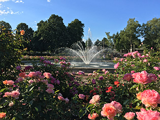 Peninsula Park Rose Garden