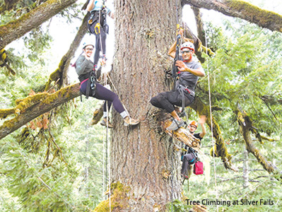 Tree Climbing at Silver Falls