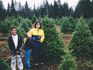 Farmer Brown's Christmas Tree Farm