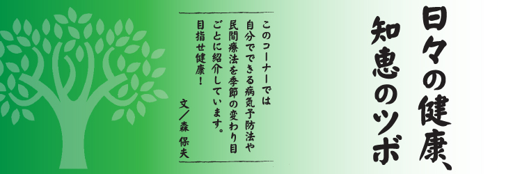 日々の健康、知恵のツボ